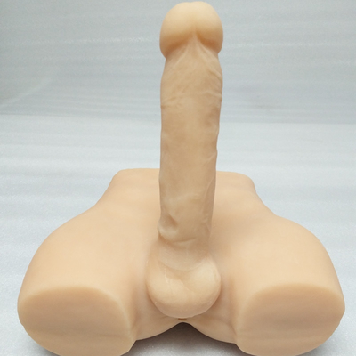 CE RoHS Skin Feeling Novelty Sex Toys Artificial Male Penis Dildo